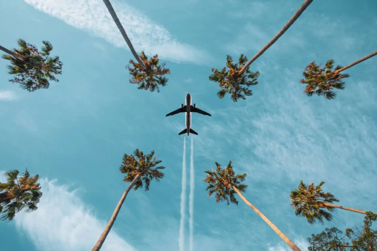 airplane taking off over palm trees